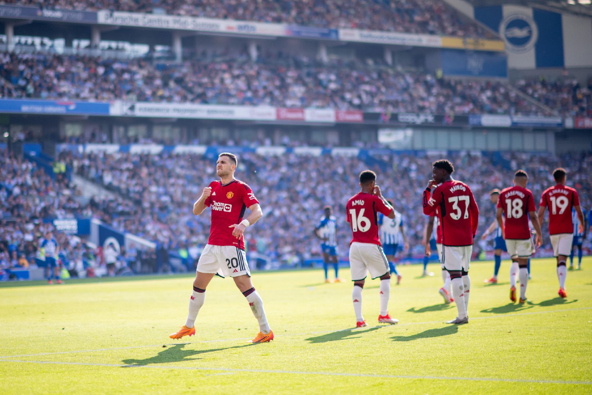 他们提出了 他们提出了